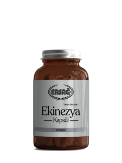 Ersağ Ekinezya Kapsül Bağışıklık Sistemi Destekleyici Takviye