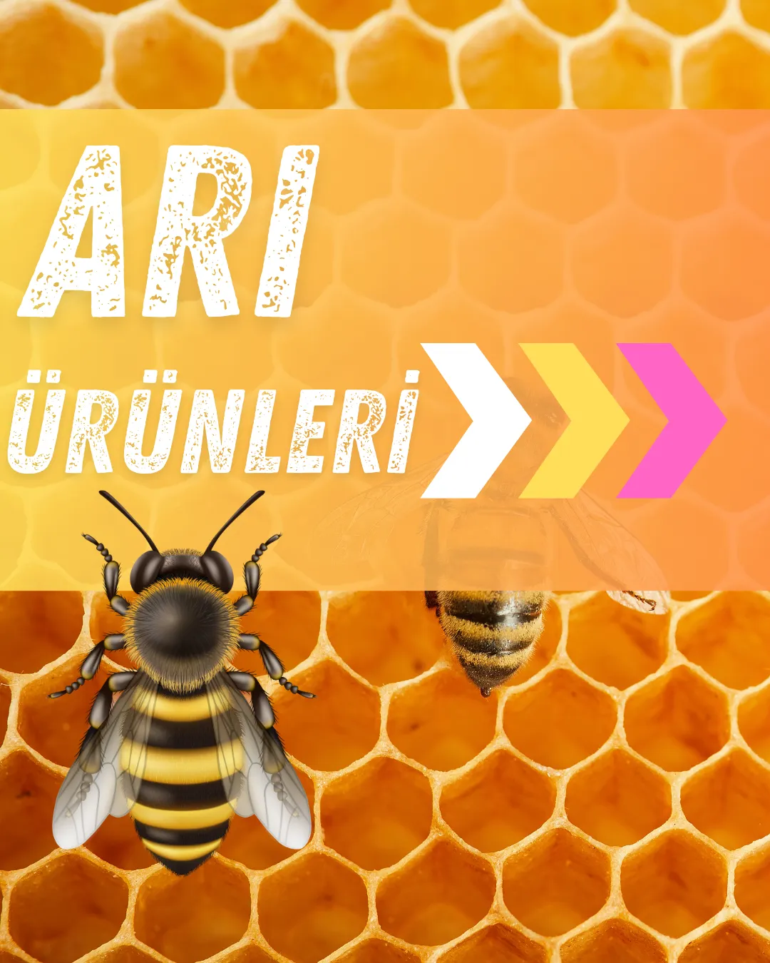 Arı Ürünleri