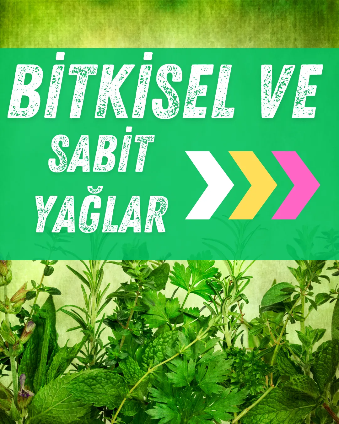Bitkisel ve Sabit Yağlar