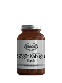 SÖĞÜT KABUĞU KAPSÜL